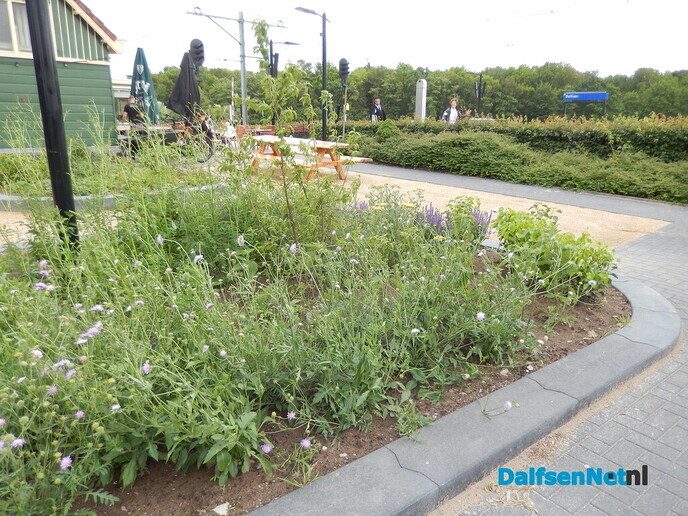 Stationsomgeving wordt steeds mooier - Foto: Willy