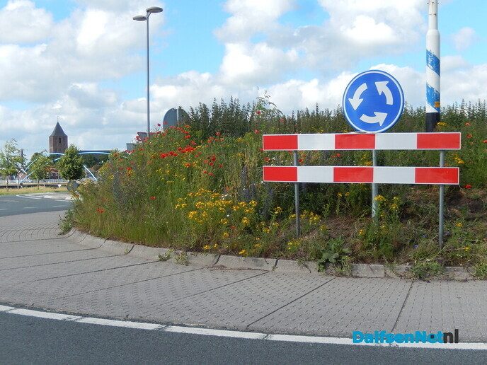Kleurrijke entree van Dalfsen