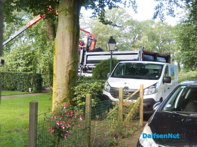 Brandweer met normale urgentie naar stormschade - Foto: Willy