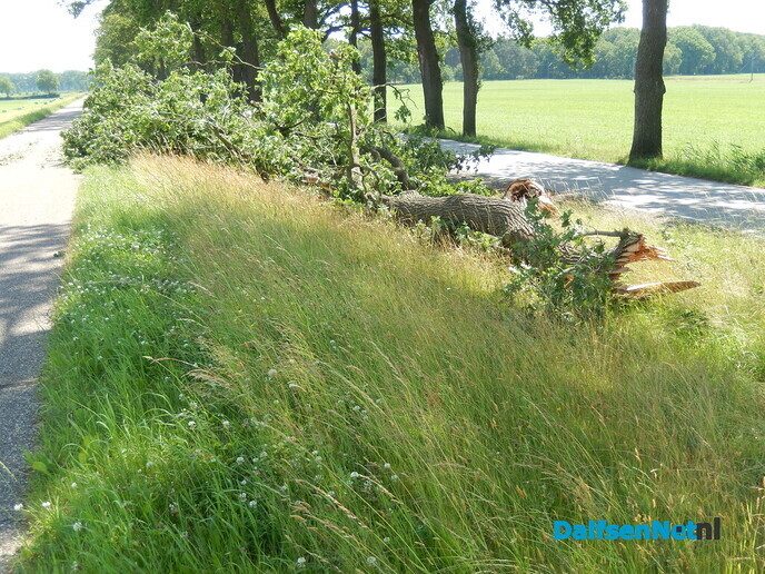 Op de Rechterensedijk had de brandweer meer werk