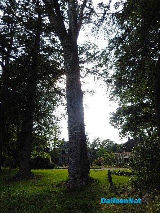 Oude dode boom heeft toch nog een functie - Foto: Willy