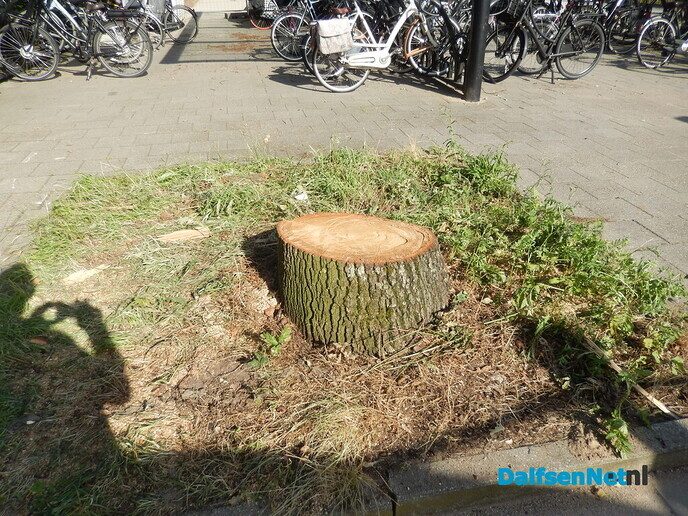 Uitbreiding fietsenstalling station schiet lekker op - Foto: Willy