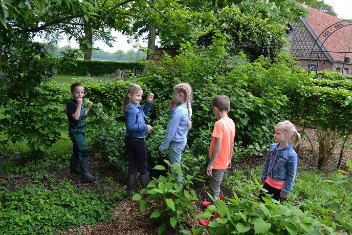 Groene Lopers stellen plantenpakketten beschikbaar - Foto: Ingezonden foto