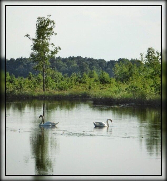 Wandeling nabij Takkenhoogte - Foto: Femmie Smink