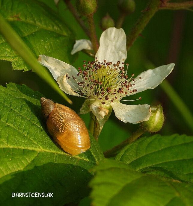 Wandeling nabij Takkenhoogte - Foto: Femmie Smink