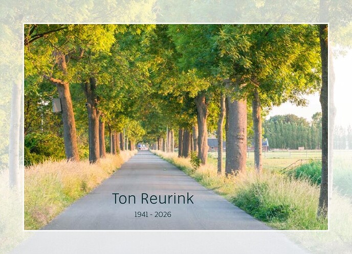 Overlijdensbericht Ton Reurink