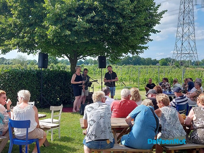 Wat en wie speelt er zondag in Lemelerveld