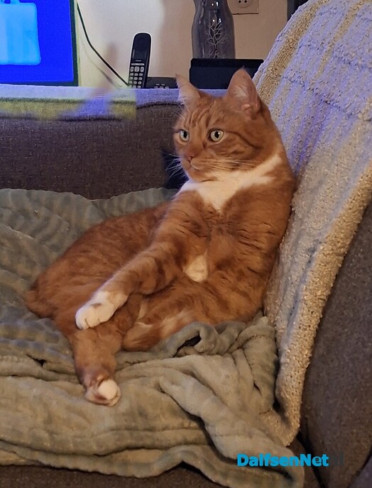 Hij is er vandoor - Foto: Ingezonden foto