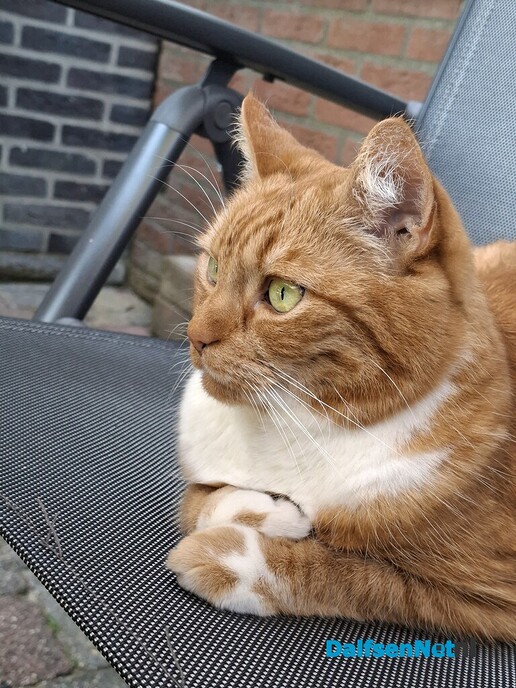 Hij is er vandoor