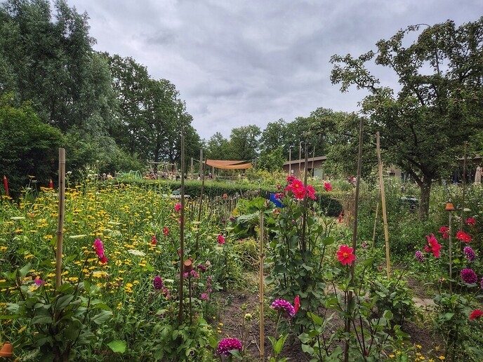 Het blijft prachtig om even langs de natuurboerderij BalkInn te wandelen - Foto: Femmie Smink