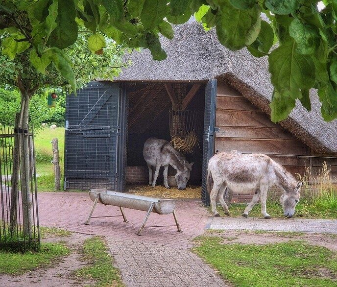 Het blijft prachtig om even langs de natuurboerderij BalkInn te wandelen - Foto: Femmie Smink
