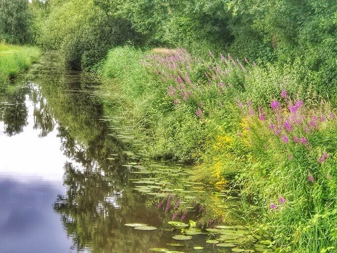 Het blijft prachtig om even langs de natuurboerderij BalkInn te wandelen - Foto: Femmie Smink