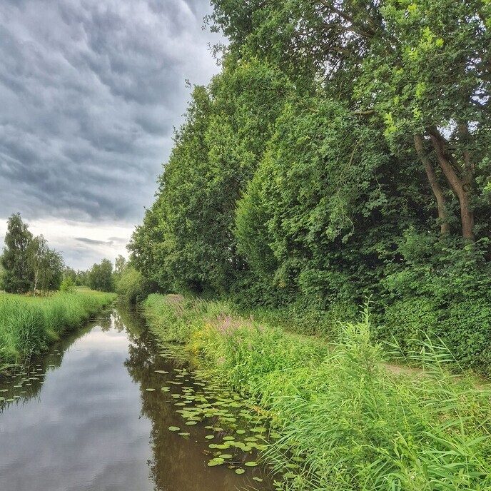 Het blijft prachtig om even langs de natuurboerderij BalkInn te wandelen - Foto: Femmie Smink