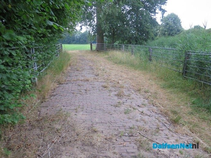 Weer een vroege zondagmorgenwandeling langs De Gunne - Foto: Wim