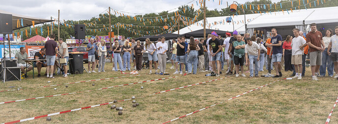 Jeu de boules in Lemelerveld een waar feest - Foto: Ingezonden foto