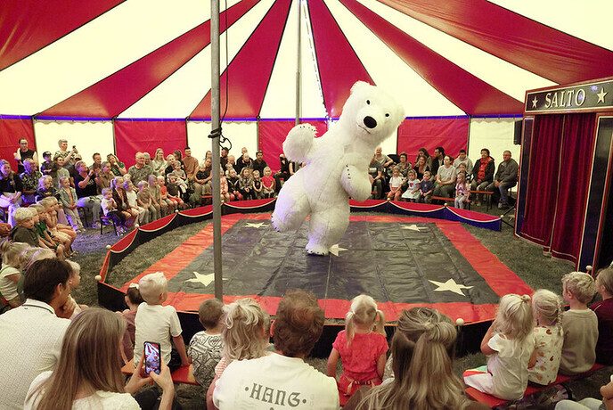 Circus Salto
