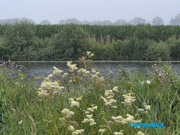 Lekker koel - Foto: Ingezonden foto