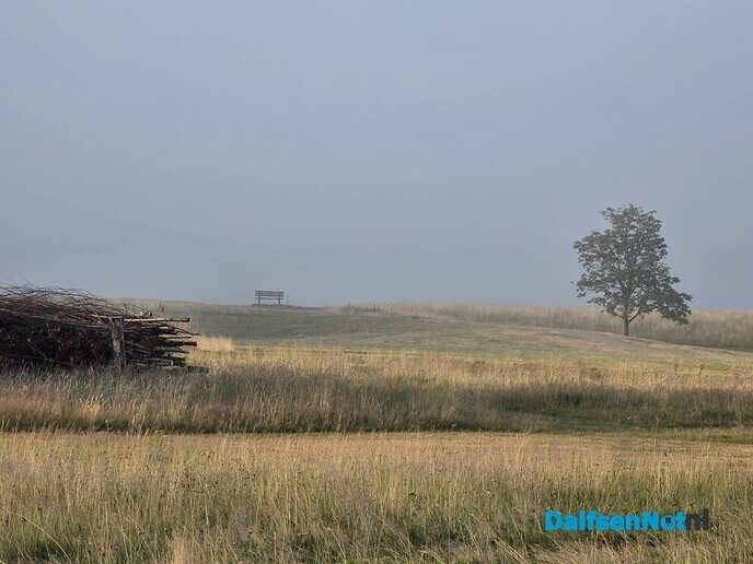 Mist erieus - Foto: Ingezonden foto