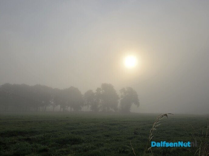 Mist erieus - Foto: Ingezonden foto