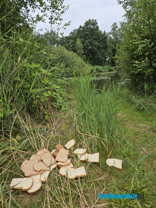 Brood, daar zit wat in