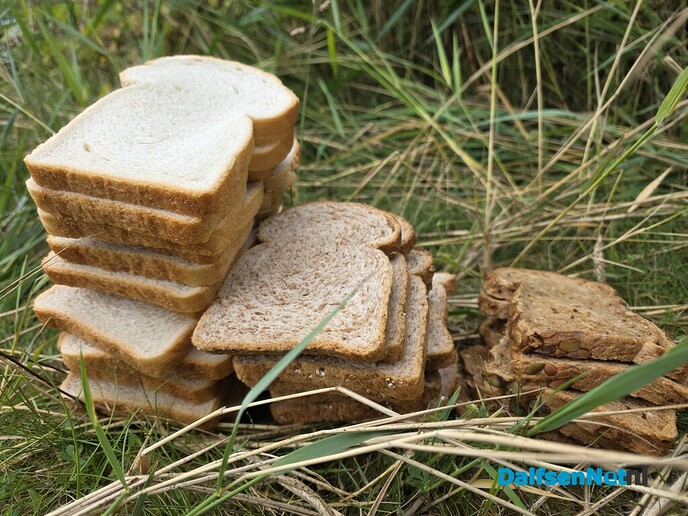 Brood, daar zit wat in - Foto: Ingezonden foto