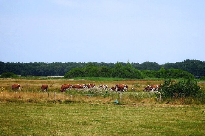 Een ijsje gaat er dan altijd wel in, maar daarna wel doortrappen - Foto: Femmie Smink