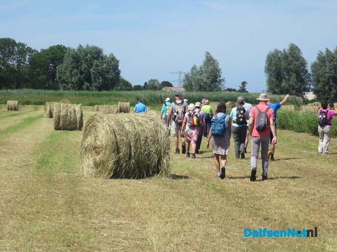 Struinen langs de Vecht en Zwarte Water - Foto: Wim