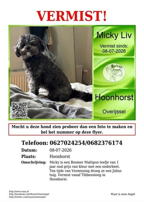 Vermiste hond Hoonhorst