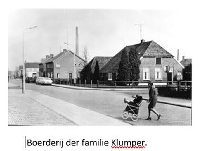 Koe met weiland tegen de dorpskern aan, prachtig