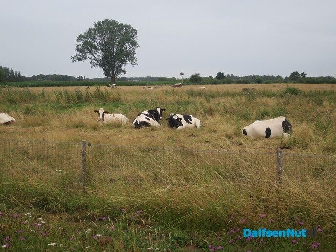 Vroege wandeling via Soeslo en Langeslag - Foto: Wim