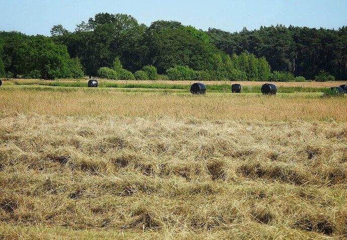 Agrariërs zijn druk - Foto: Femmie Smink