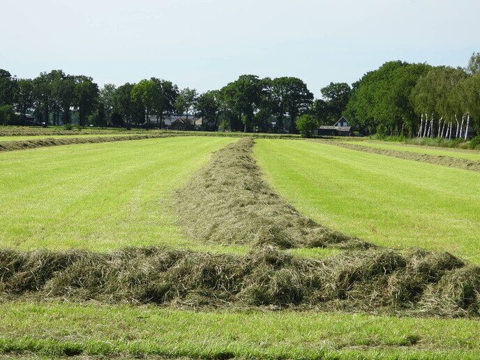 Agrariërs zijn druk - Foto: Femmie Smink