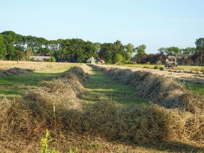 Agrariërs zijn druk - Foto: Femmie Smink