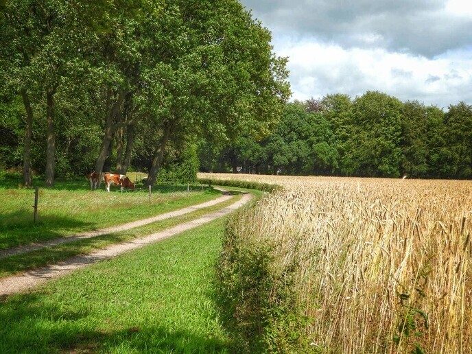 Femmie: even een ronde van 31 kilometer trappen - Foto: Femmie Smink