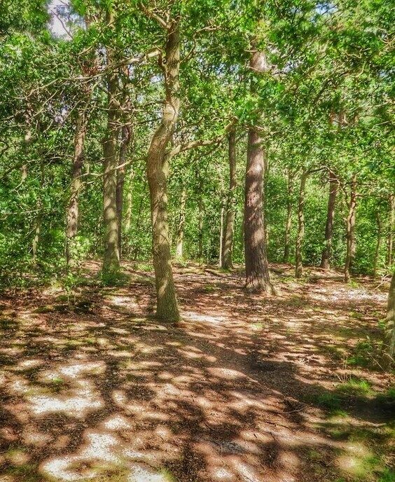 Femmie: even een ronde van 31 kilometer trappen - Foto: Femmie Smink