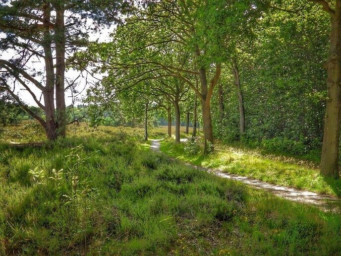 Femmie: even een ronde van 31 kilometer trappen - Foto: Femmie Smink