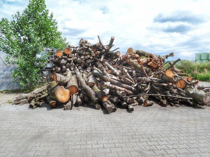 Landjuweel de Hoeve (2) - Foto: Femmie Smink