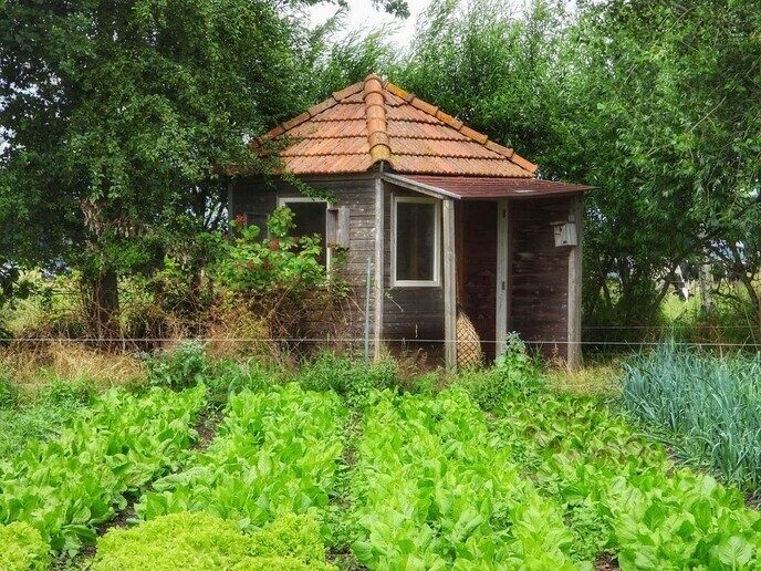 Landjuweel de Hoeve (2) - Foto: Femmie Smink