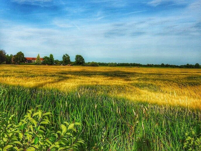 Agrariërs zijn druk - Foto: Femmie Smink