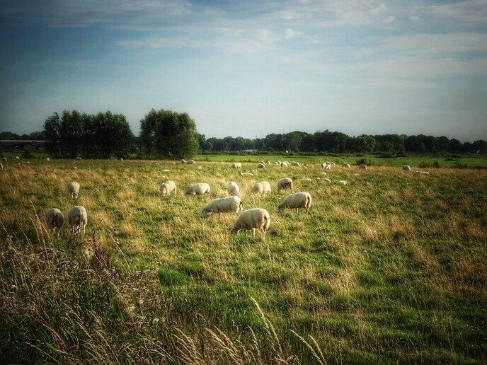 Agrariërs zijn druk - Foto: Femmie Smink