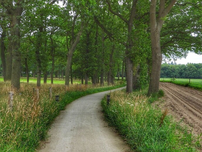 Op de fiets naar Ommen - Foto: Femmie Smink