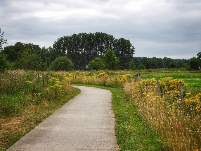 Op de fiets naar Ommen - Foto: Femmie Smink