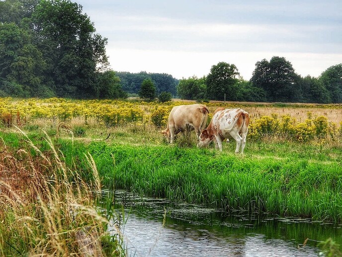 Op de fiets naar Ommen - Foto: Femmie Smink
