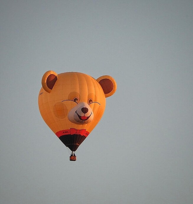 Balloonfair Staphorst deel 2 - Foto: Femmie Smink