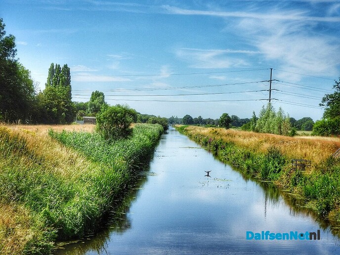 Fantastische landelijke beelden van natuurfotograaf - Foto: Femmie Smink