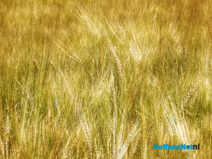 Fantastische landelijke beelden van natuurfotograaf - Foto: Femmie Smink