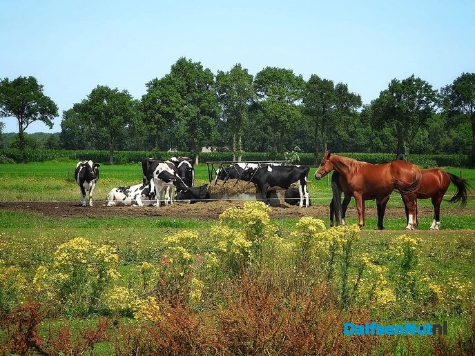 Fantastische landelijke beelden van natuurfotograaf