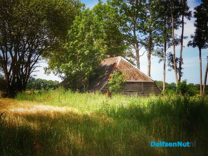 Fantastische landelijke beelden van natuurfotograaf - Foto: Femmie Smink