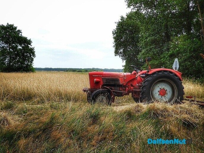 Roggemaaien aan de Schotweg (deel 1) - Foto: Femmie Smink