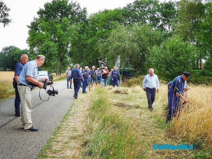 Roggemaaien aan de Schotweg (deel 1) - Foto: Femmie Smink
